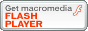 [r[ɂȂɂ͍ŐVFLASH PLAYERKvłB