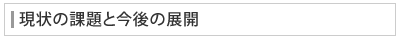 現状の課題と今後の展開