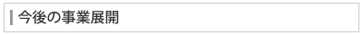 今後の事業展開