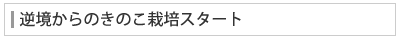 逆境からのきのこ栽培スタート