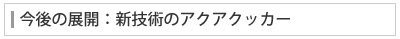 今後の展開